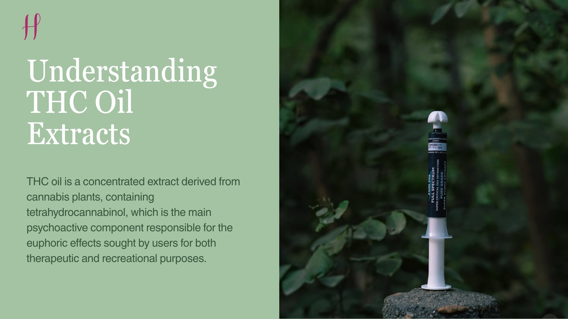 Understanding THC oil extracts